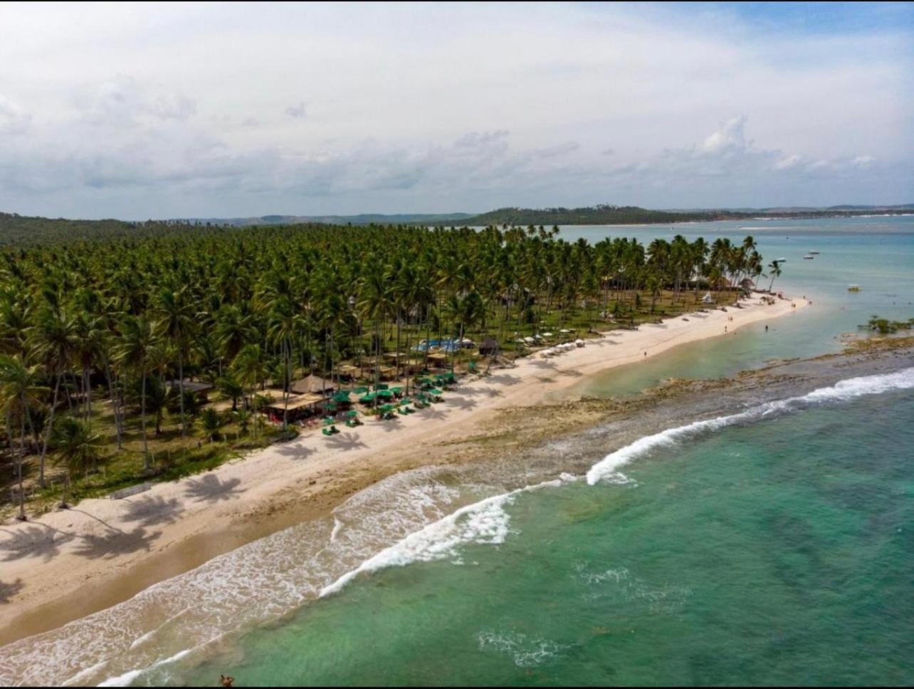 Flat Beira Mar - Carneiros Beach Resort Tamandaré Eksteriør bilde